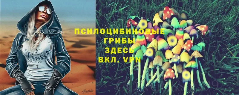 кракен вход  Вельск  Псилоцибиновые грибы MAGIC MUSHROOMS 